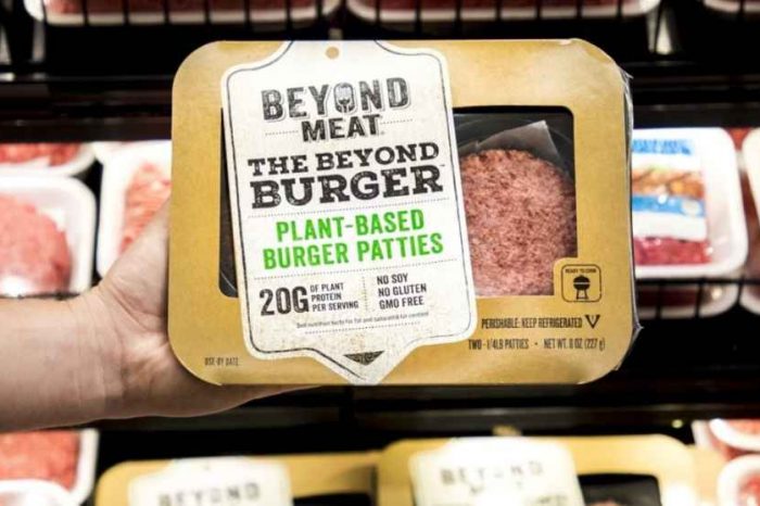 Beyond Meat, a fake meat company backed by Hollywood celebrities, is fighting for its survival after losing over 80% of its value