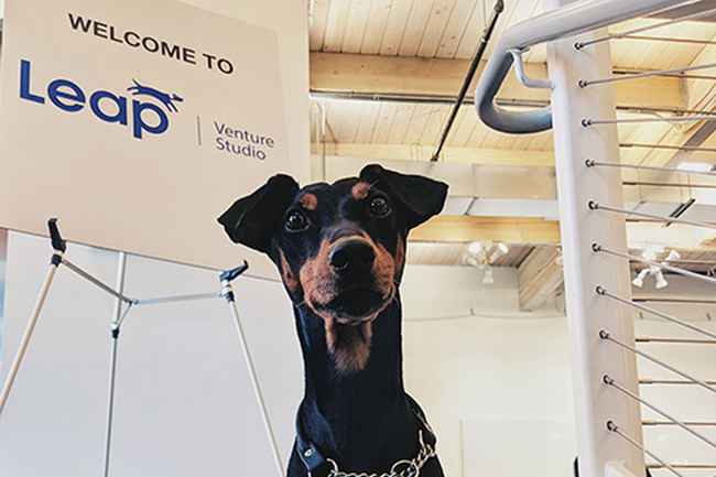 Leap Venture Studio launches Leap Venture Academy, the first-ever program to support the growth of early stage pet care startups