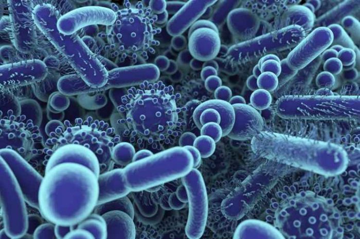 Newly launched startup Arranta Bio secures $82M in new funding to provide contract development and manufacturing organization (CDMO) for microbiome pioneers