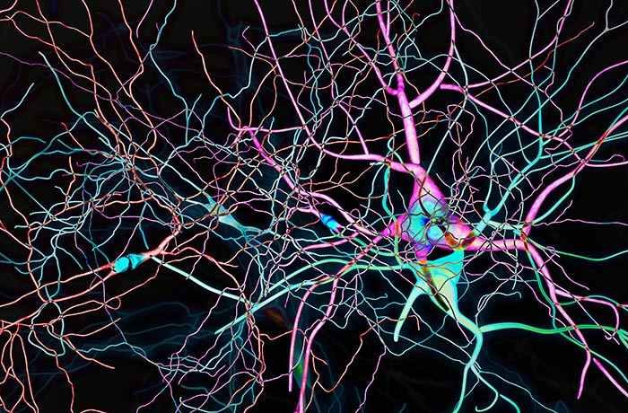 Aspen Neuroscience launches with $6.5M seed funding to develop personalized and autologous cell therapy for Parkinson's disease