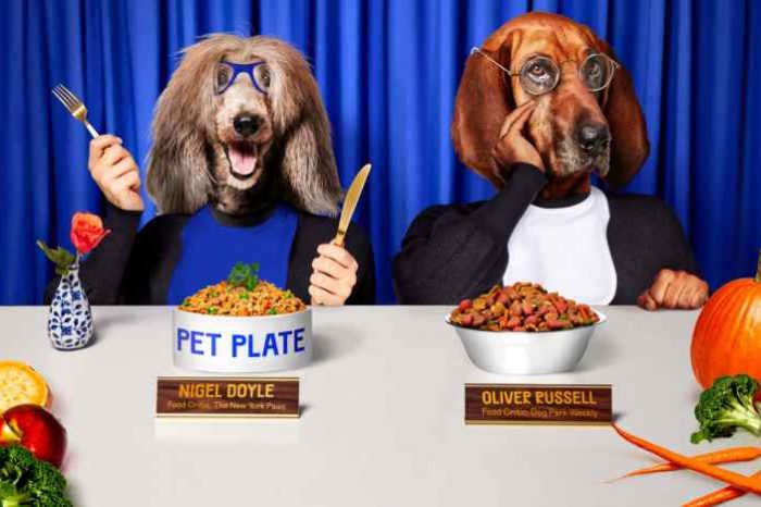 Pet Plate raises $9M Series A funding to provide fresh pet food directly to the consumers