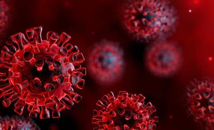 Norwegian scientist Birger Sorensen claims coronavirus was lab-made and 'not natural in origin'