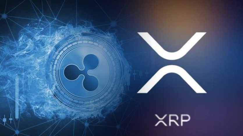 Cryptocurrency Xrp Lost 25 Of Its Value After Sec Files Lawsuit Against Ripple And Two Company Executives Tech News Startups News