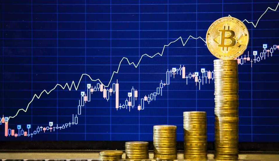 Crypto investors open to investing 50% of their savings into  cryptocurrencies, a new survey showsTech NewsStartups News