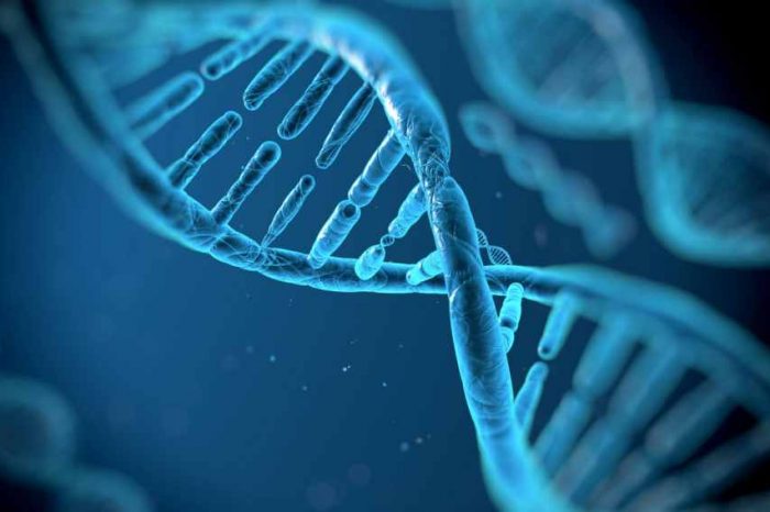 DNA sequencing company Illumina partners with Sequoia Capital to launch genomics incubator in China