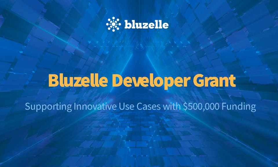Bluzelle Launches Developer Grant Program for CensorshipResistant
