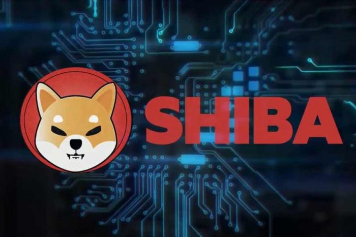 Dogecoin Killer Shiba coin surges over 32,000% in just one month: Is Elon Musk abandoning Dogecoin for Shiba coin?