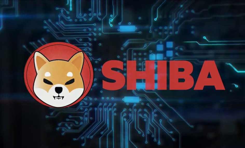 Dogecoin Killer Shiba coin surges over 32 000 in just one month