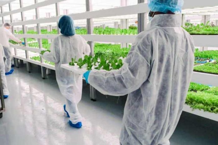 Berlin-based AgTech startup Infarm raises $200M to bring efficient vertical farming to cities and urban centers; reaches unicorn status at over $1 billion valuation