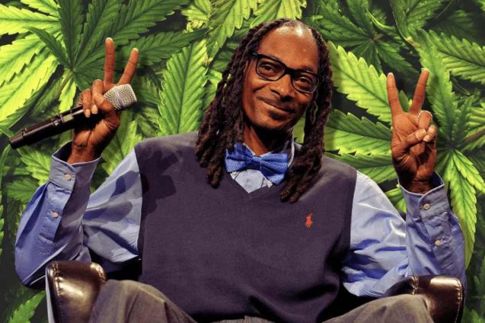 Snoop Dogg-backed fintech startup Bespoke Financial raises $125M to fund the growth of the cannabis industry