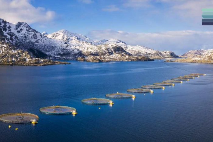 Ocean analytics startup Scoot Science unveils a new tool to unlock a new path for impact investors and help ocean-based salmon farms operate more sustainably