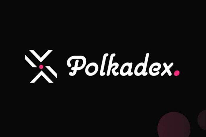 Polkadex Joins Second Round of Parachain Auctions with Community Crowdloan