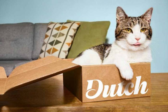 Pet telehealth startup Dutch raises $20M to provide virtual pet care and visits with licensed veterinarians