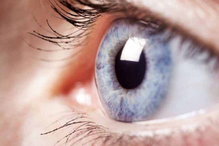 Biotech startup EyeBio closes $65M to develop a new generation of eye disease therapies to protect, restore, and improve vision