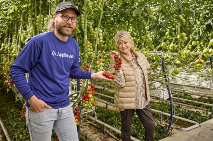 Martha Stewart-backed futuristic indoor farming startup AppHarvest lost about 25% of its value after farm delays