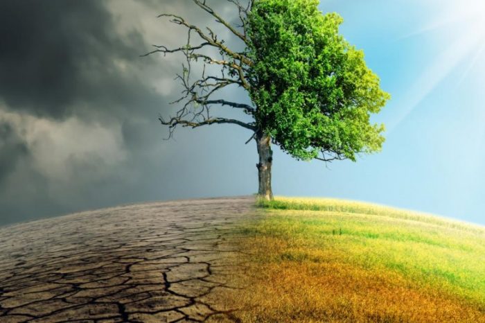 Foundation for Climate Restoration releases a white paper on how to restore the climate by 2050