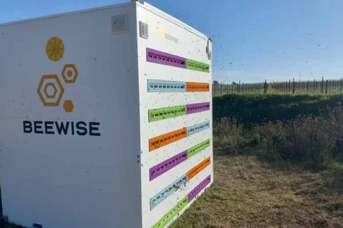 Israeli robotic beehive maker Beewise raises $80 million to save bees from climate change