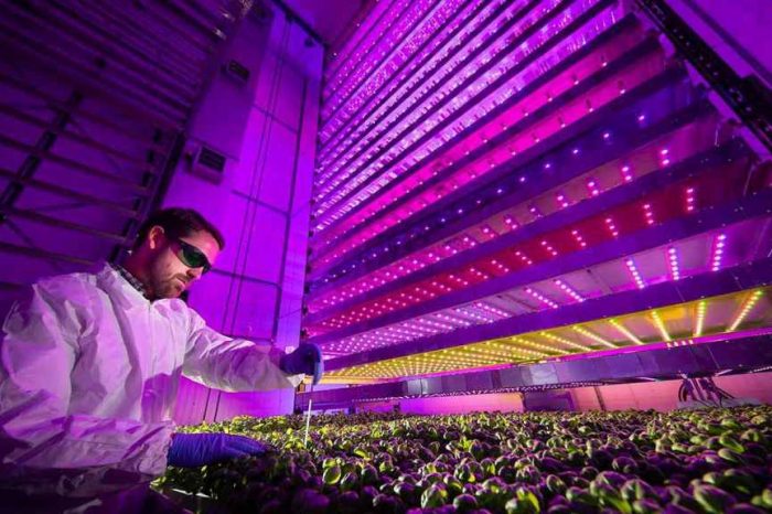 Dutch AgriTech startup Future Crops raises new funding led by Tencent for its indoor vertical farm to sustain growing population with high-yield crops