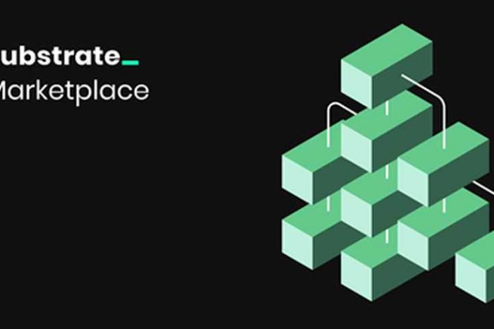 Polkadot launches substrate marketplace, a one-stop resource for substrate pallets