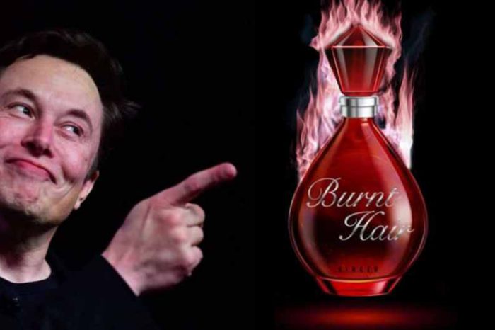 Elon Musk sells $1 million worth of new perfume, 'Burnt Hair.' Now urging fans to buy more perfume so he can buy Twitter