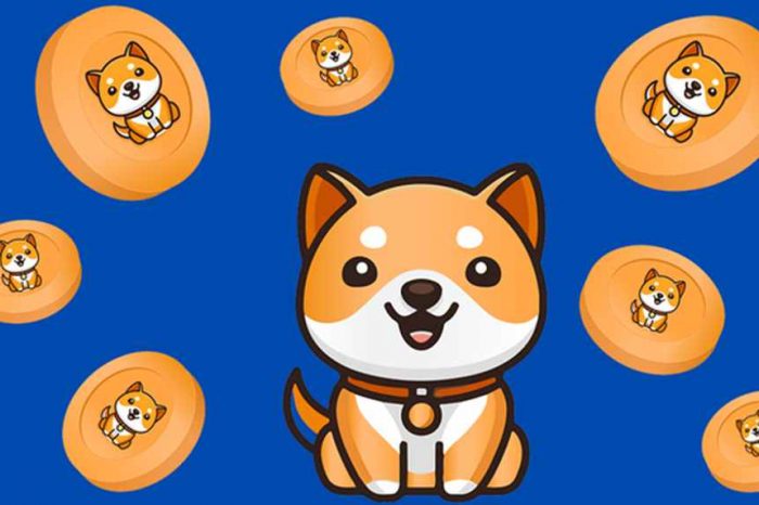 Shiba Inu lost 86% of its value in one year. Is it time for long-term investors to build a Shiba Inu position?