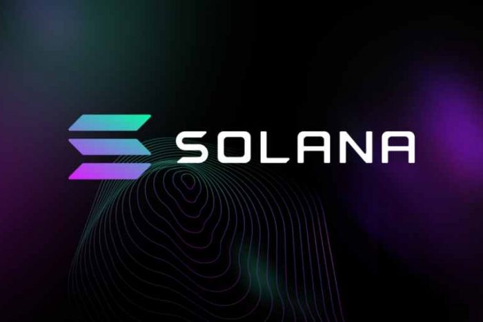 Ethereum-Killer Solana lost 96% of its value last year with over $50 billion wiped out