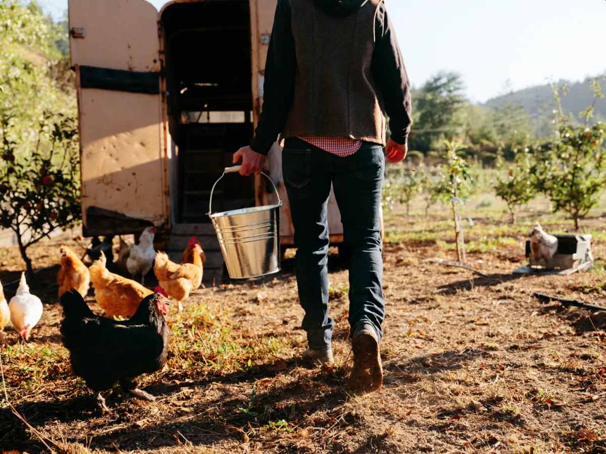 This Startup Wants to Redirect Your Food Waste to Feed Animals