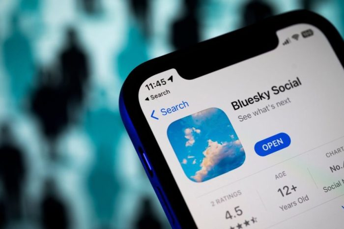 Twitter competitor Bluesky raises $8M; launches paid custom domains in a bid to remain sustainable