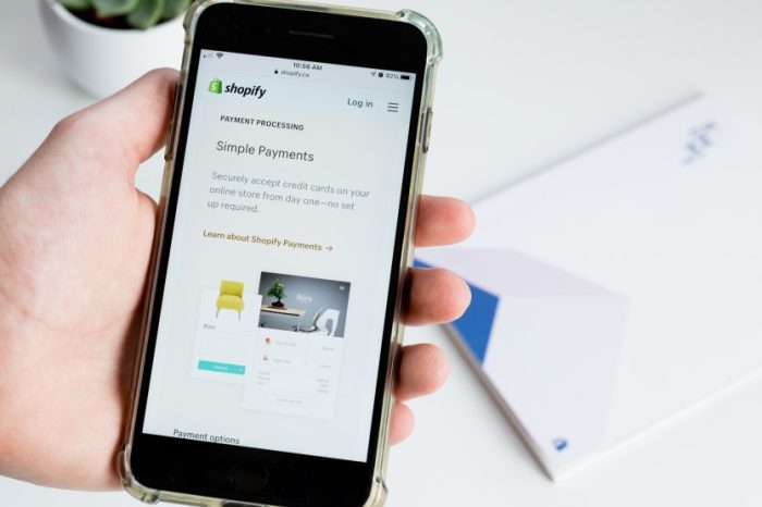 From Shopify to global enterprise: The 5 biggest companies that began as a Shopify dropshipping store