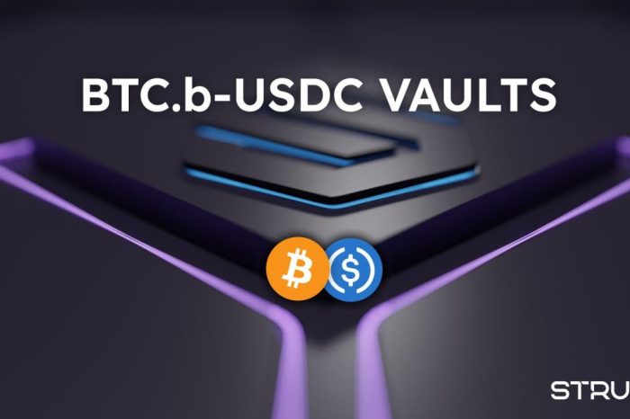 Struct Finance Transforms DeFi Landscape on Avalanche With the Launch of Tranche-based BTC.B-USDC Vaults