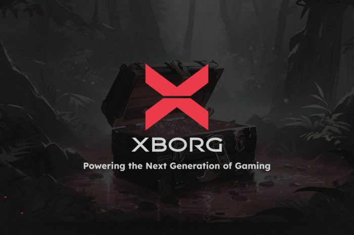 Powering the Next Generation of Gaming: XBorg Sells Out $2 Million Seed Round Community Allocation