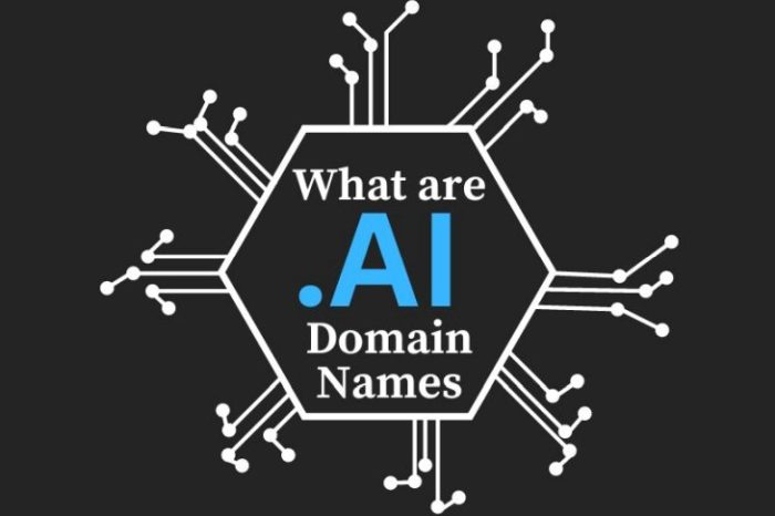 AI Domains: Everything you need to know and what not to do with your .AI domain names