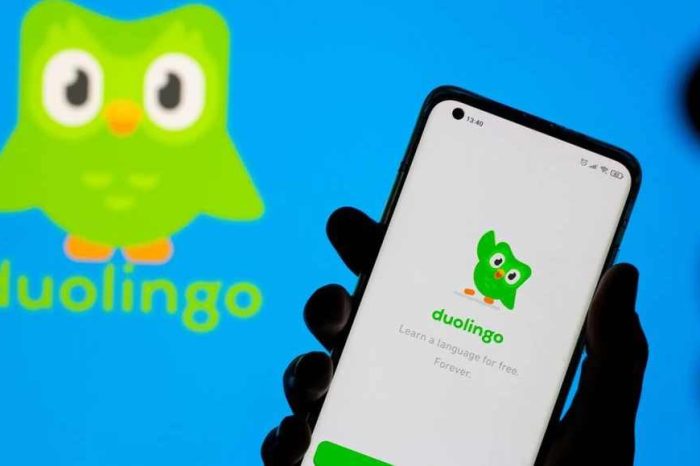 Duolingo jumps on online learning boom and AI push, set to add $1.68 billion to its market value