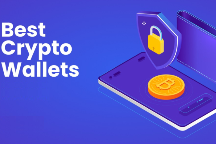 Top 5 Best Crypto Wallets that Make Seed Phrases a Thing of the Past