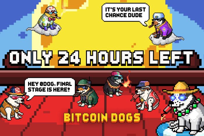 Bitcoin Dogs Raises Over $11.5 Million and Enters Final 24 Hours