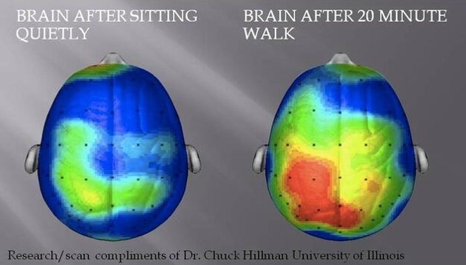 Your brain after sitting down for 20 minutes vs walking for 20 minutes, research findings will shock you