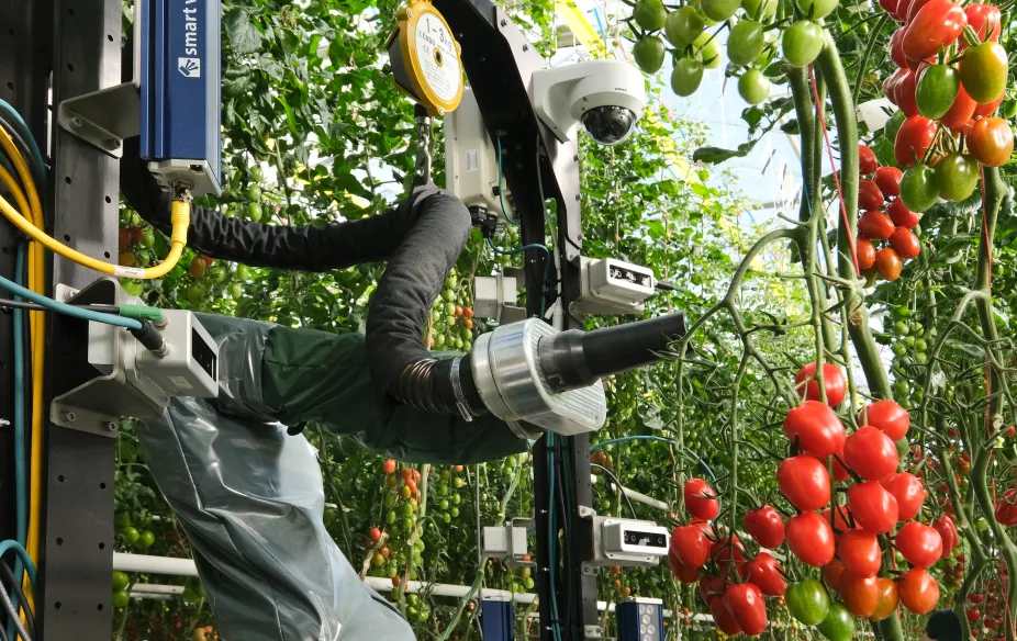 YC-backed robotics startup Four Growers secures $9M Series A to tackle greenhouse labor shortages with AI robots