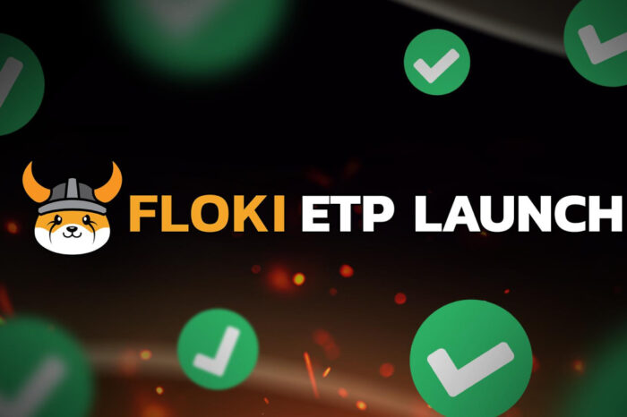 FLOKI DAO Unanimously Votes to Provide Liquidity for Floki ETP Launch