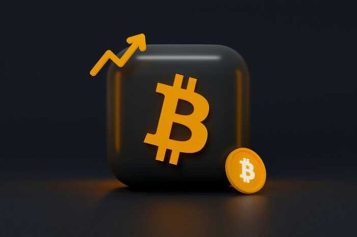 The Rise of Blockchain Domains