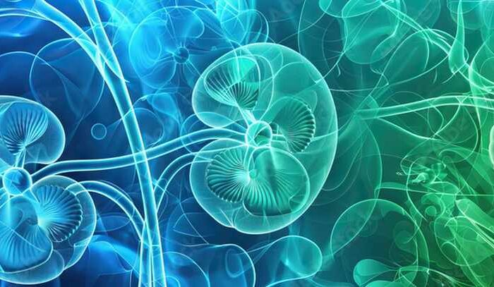 R1 Therapeutics launches with $77.5M Series A to advance first-in-class kidney disease treatment AP306