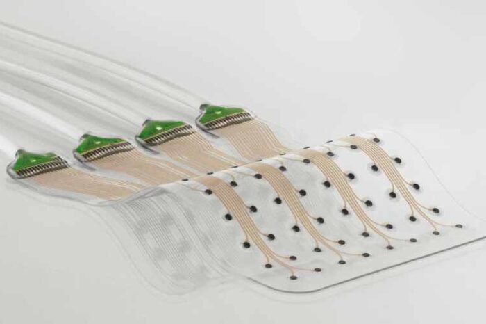 Swiss neurotech startup Neurosoft raises $7.5M to build AI-powered stretchable brain-computer interfaces